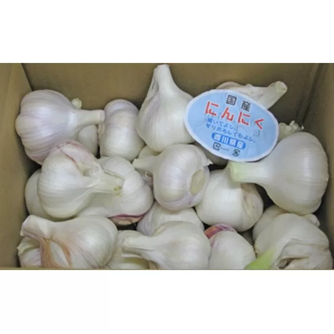 【 小豆島 】島育ち！生にんにく（新物）約２kg 野菜 根菜 
