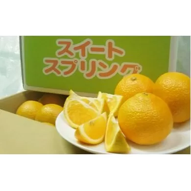【 小豆島 】スイートスプリング 10kg 果物類 みかん 柑橘類 