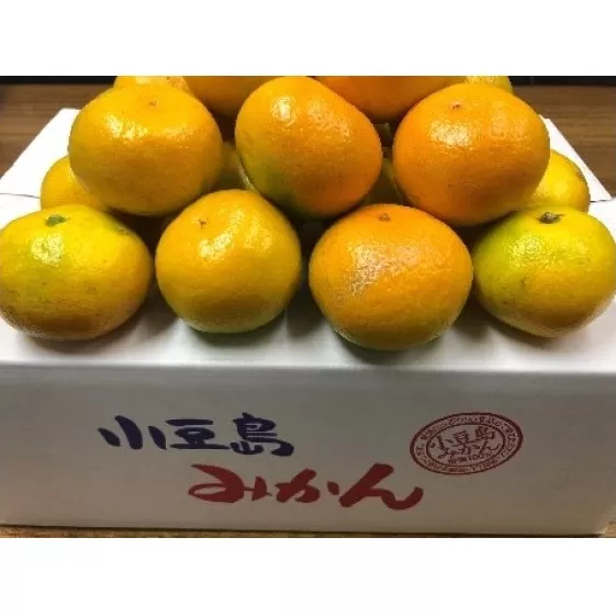 【 小豆島 】小豆島 ゆら早生みかん 約5kg みかん 蜜柑 ミカン ゆら早生 フルーツ 果物 くだもの 国産 香川 香川県 土庄 土庄町