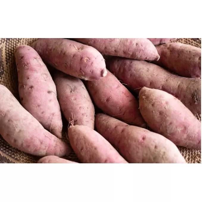 【 小豆島 】小豆島のサツマイモ〈 紅はるか 〉4kg さつまいも サツマイモ 芋 いも イモ 野菜 甘い おやつ 軽食 香川 香川県 土庄 土庄町