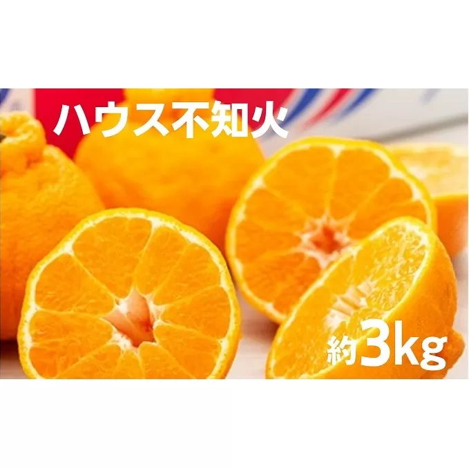 【 小豆島 】 ハウス 不知火 約3kg 化粧箱 しらぬい 柑橘 果物 フルーツ くだもの 国産 香川 香川県 土庄 土庄町