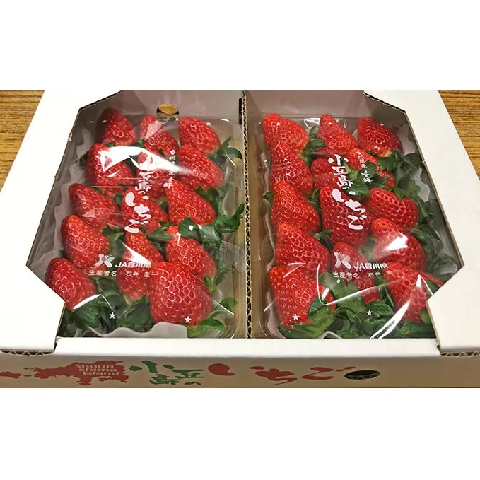 【 小豆島 】【2月からの発送】小豆島のいちご（女峰）DXパック (250g×2パック入り) 果物類 苺 イチゴ 