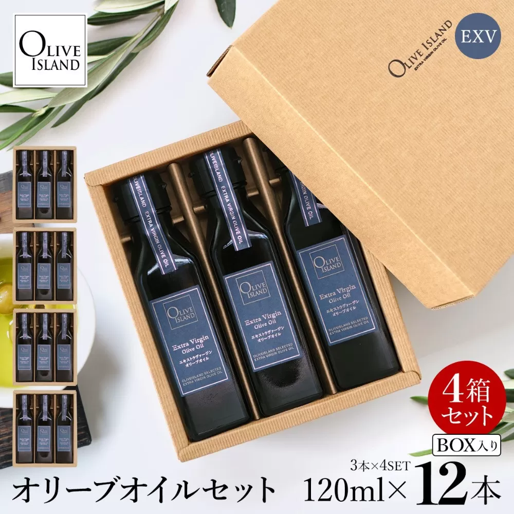 エキストラバージン（EXV）オリーブオイル3本入ギフト4セット（120ml×3本×4）