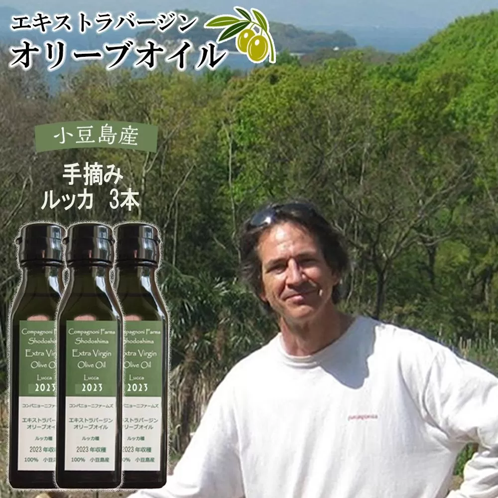 ジェイさんのオリーブオイル《ルッカ種》3本セット コンパニョーニファームズ エキストラバージンオイル 2025年収穫 100％小豆島産 手摘み