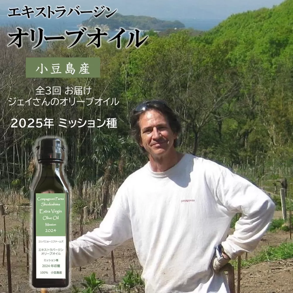 【定期便 全3回】ジェイさんのオリーブオイル《ミッション種》毎月お届け コンパニョーニファームズ エキストラバージンオイル 2025年収穫 100％小豆島産 手摘み