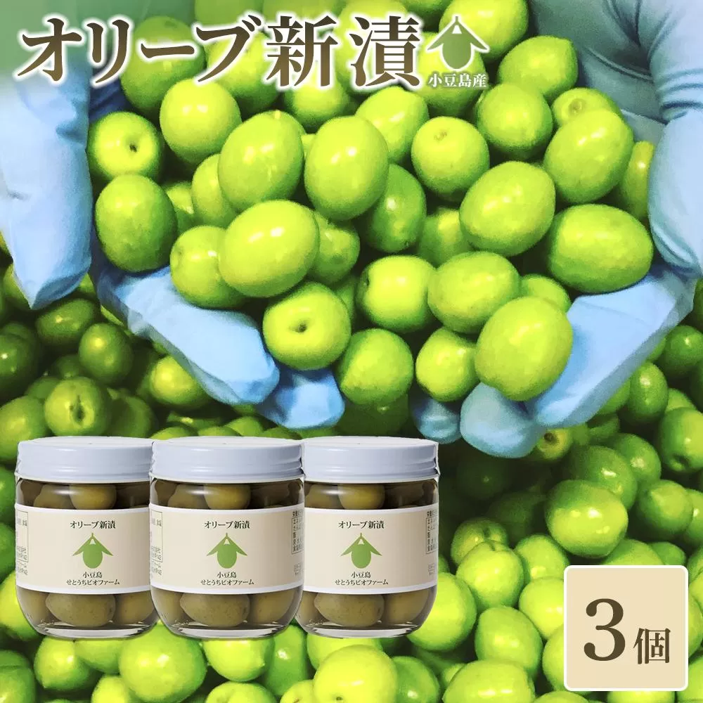 オリーブ新漬（90g×3個）