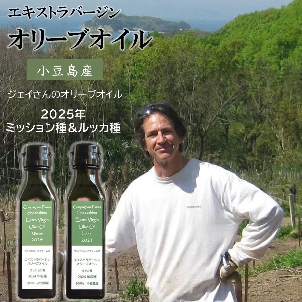 先行予約 ジェイさんのオリーブオイル《ミッション種＆ルッカ種》コンパニョーニファームズ エキストラバージンオイル  食べ比べセット 2025年収穫 100％小豆島産 手摘み