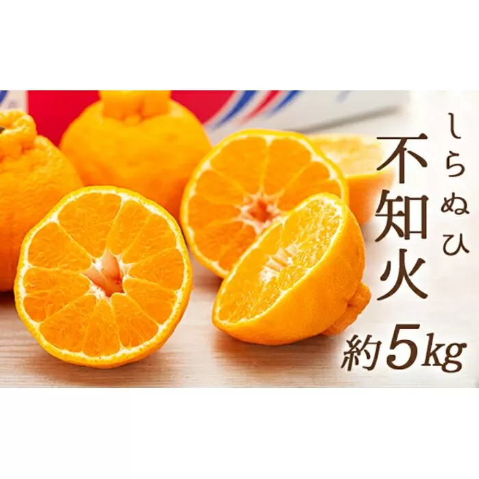 不知火 (しらぬひ) 約5kg