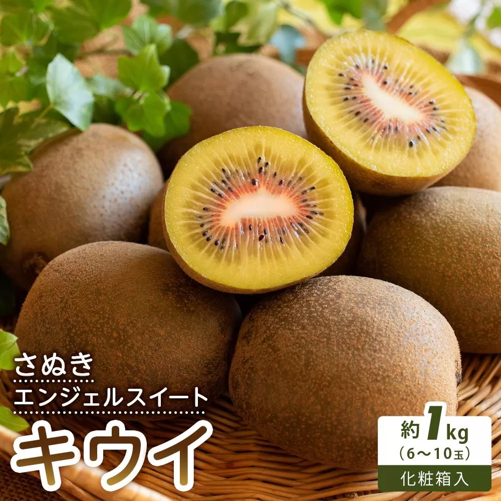 【さぬき讃フルーツ】さぬきエンジェルスイートキウイ 化粧箱入り 約1kg