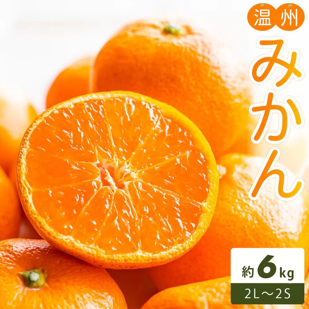 温州みかん 約6kg