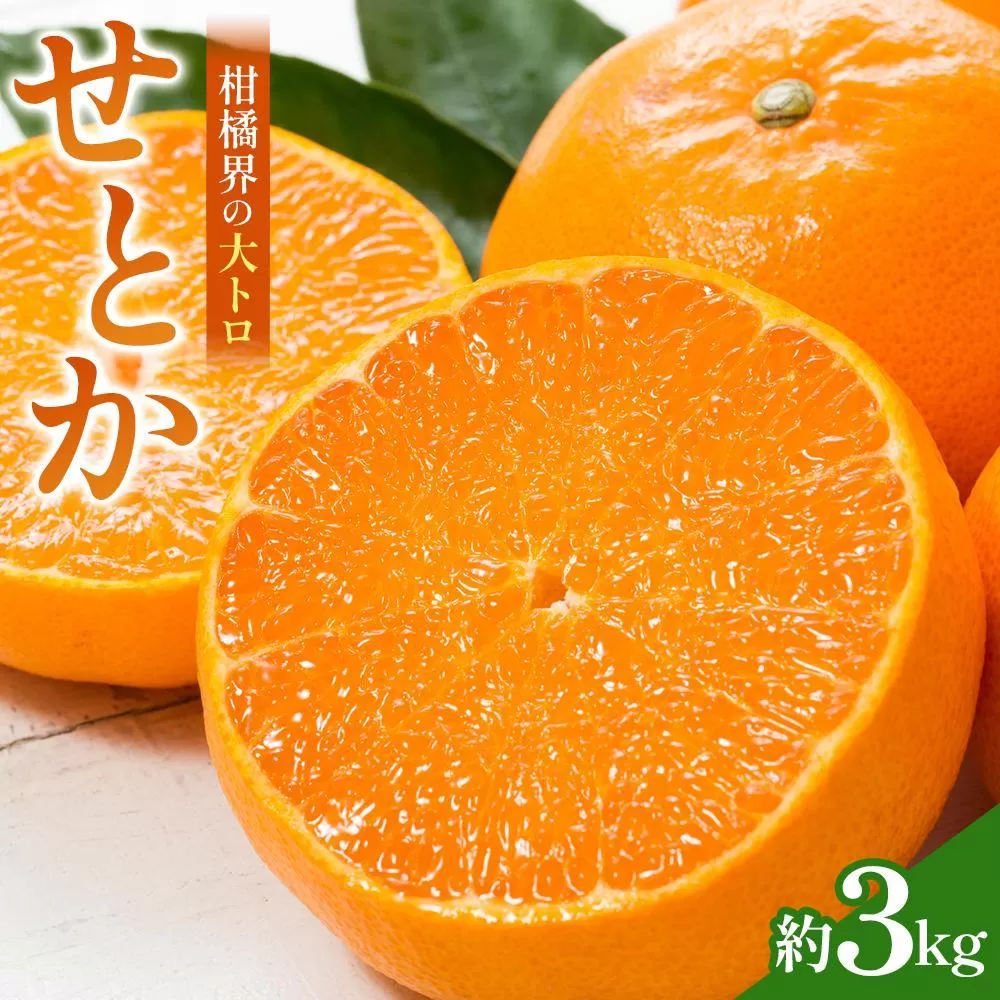 【2026年2月中旬より発送】柑橘界の大トロ！せとか 約3kg
