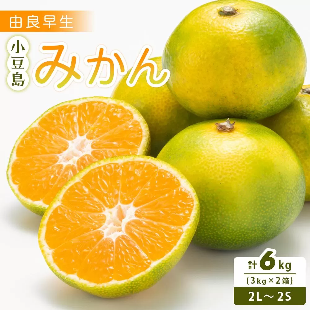 小豆島 由良早生みかん 3kg×2箱