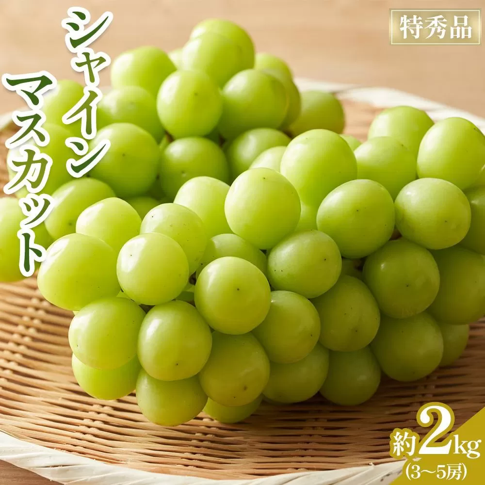【2025年8月中旬より発送】極撰！シャインマスカット 約2kg (3～5房)