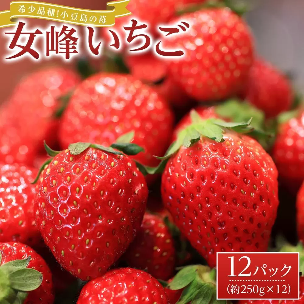 【2026年2月中旬より発送】希少品種！小豆島の苺「女峰」12パック(1パック約250g)