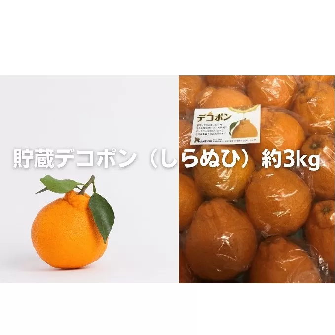 貯蔵デコポン（しらぬひ）約3kg 果物類 みかん 柑橘類 濃厚 香川県産 