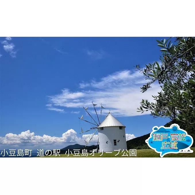「瀬戸・たかまつネットワーク」貸切クルーザーで巡る香川県（小豆島・男木島方面）2日間 チケット ペア 旅行券 観光 