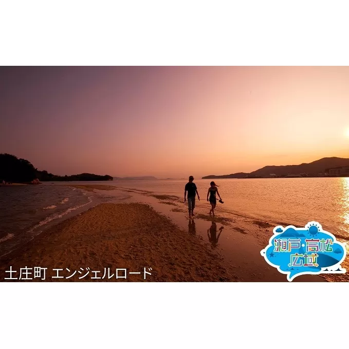 「瀬戸・たかまつネットワーク」香川県　アート島めぐり（小豆島・豊島・直島方面）2日間 チケット ペア 旅行券 観光 
