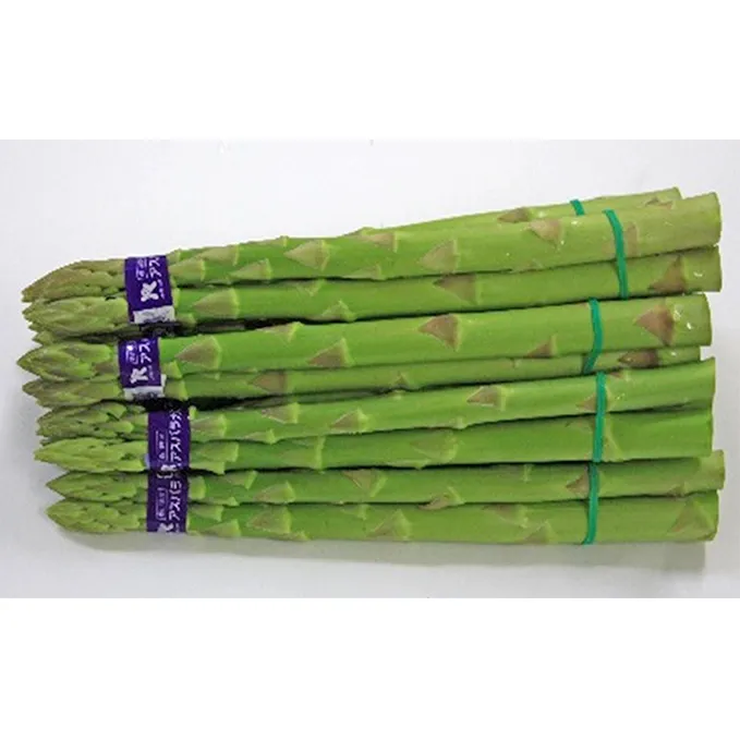 香川県オリジナルアスパラガス「さぬきのめざめ」夏芽　約700g 野菜