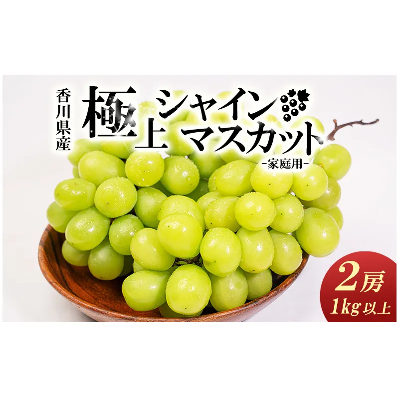 【お得用】家庭用シャインマスカット　2房入り 1kg以上