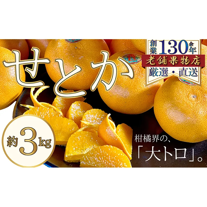 柑橘界の大トロ♪せとか　約3kg 