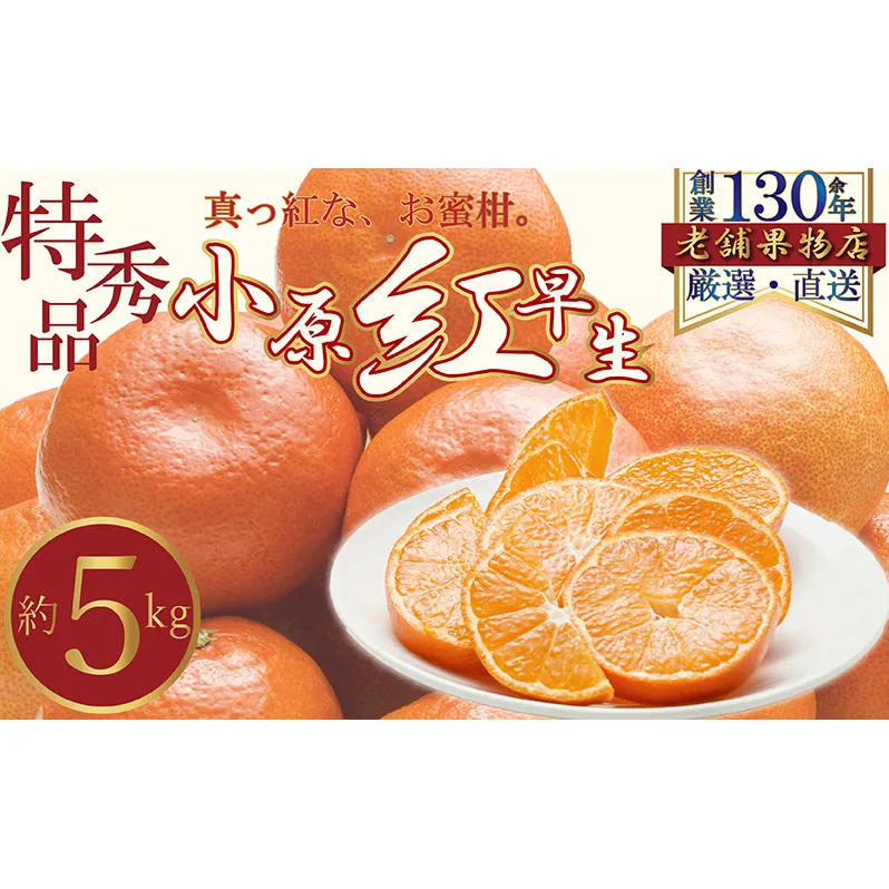 特秀品！真っ赤なお蜜柑「小原紅早生」　約5kg 