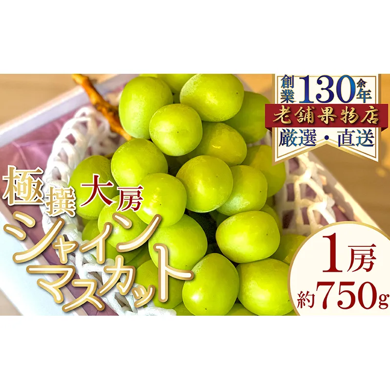 極撰！大房シャインマスカット　1房(約750g) 
