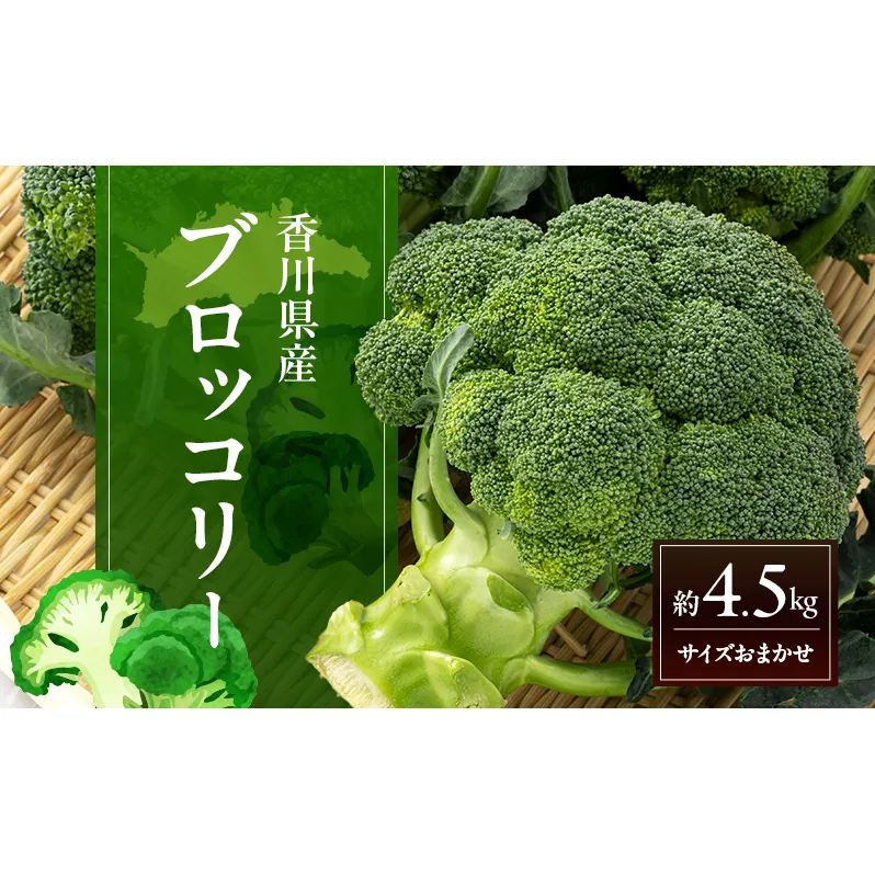 訳あり ブロッコリー 約4.5kg (サイズおまかせ) 野菜
