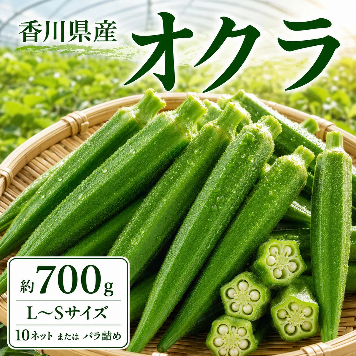 オクラ 約700g (L～Sサイズ) 10ネットまたはバラ詰め 野菜