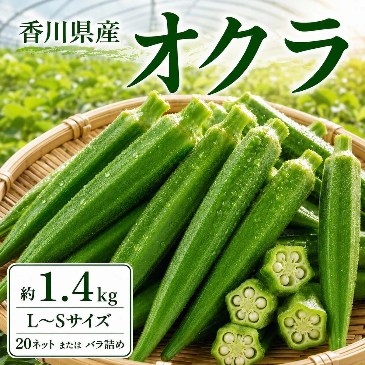 オクラ 約1.4kg (L～Sサイズ) 20ネットまたはバラ詰め 野菜