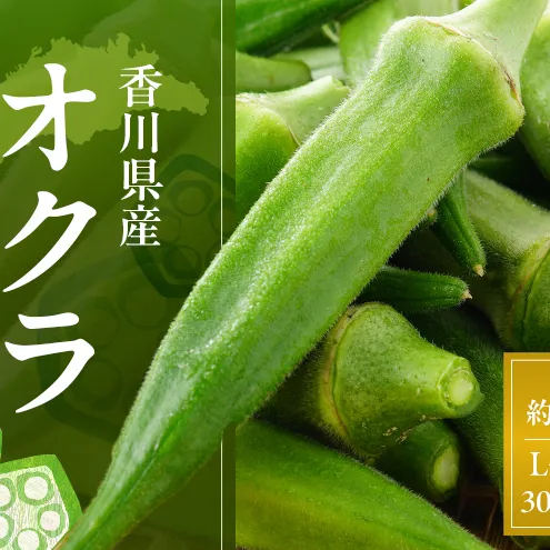 オクラ 約2.1kg (L～Sサイズ) 30ネットまたはバラ詰め 野菜