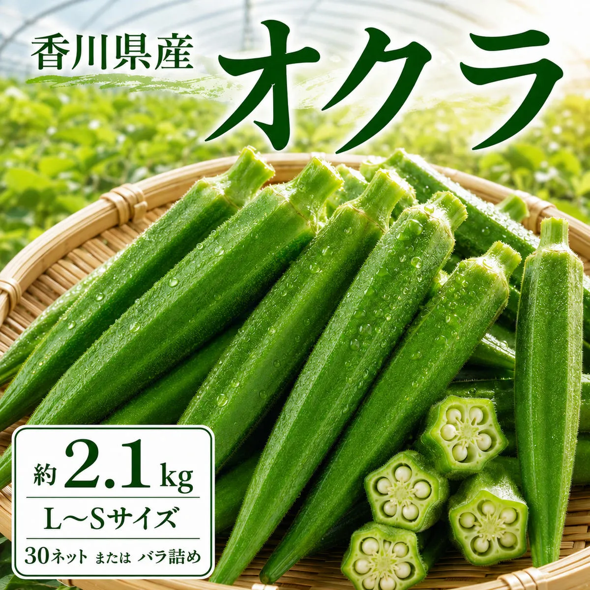 オクラ 約2.1kg (L～Sサイズ) 30ネットまたはバラ詰め 野菜
