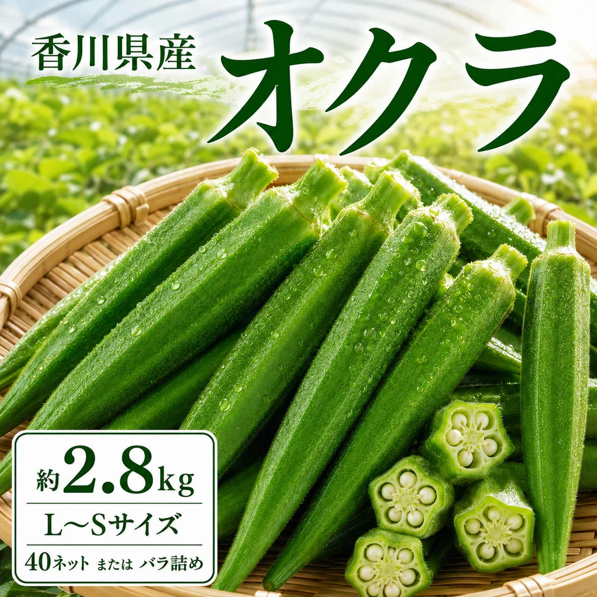 オクラ 約2.8kg (L～Sサイズ) 40ネットまたはバラ詰め 野菜