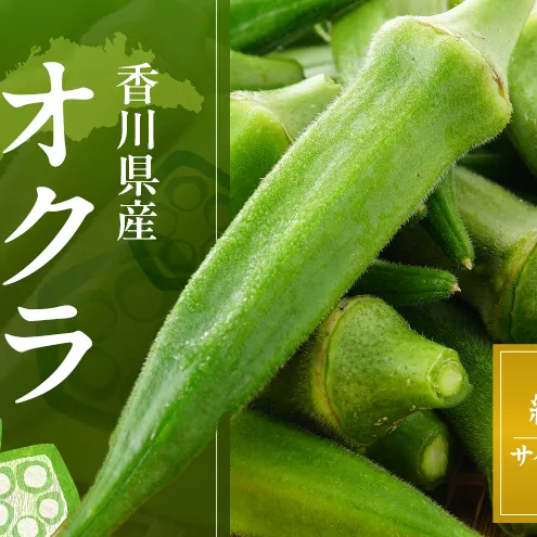 オクラ 約3kg バラ (サイズおかませ) 野菜