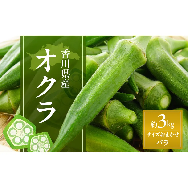 オクラ 約3kg バラ (サイズおかませ) 野菜