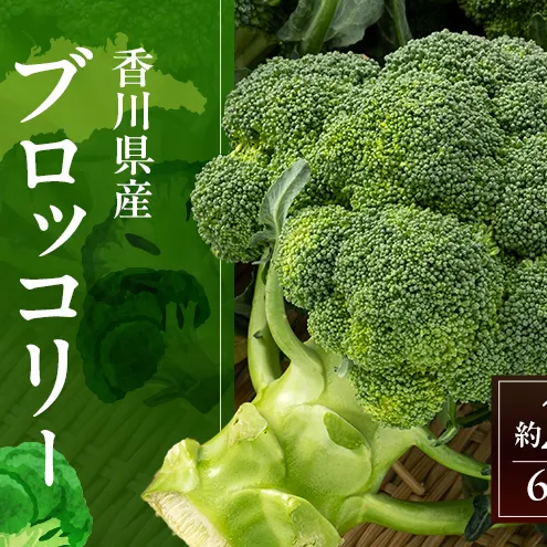 ブロッコリー 約2.5kg (6株前後) 野菜