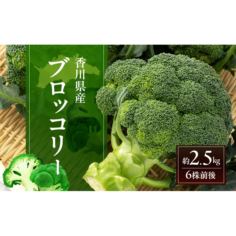 ブロッコリー 約2.5kg (6株前後) 野菜