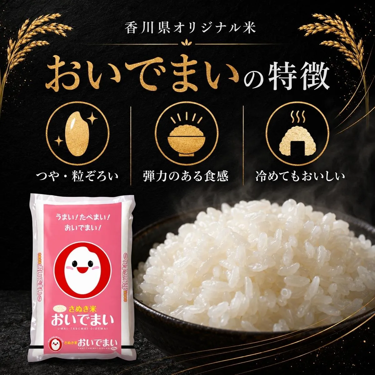 香川のお米 おいでまい 10kg お米 米 コメ 精米 白米 香川 香川県