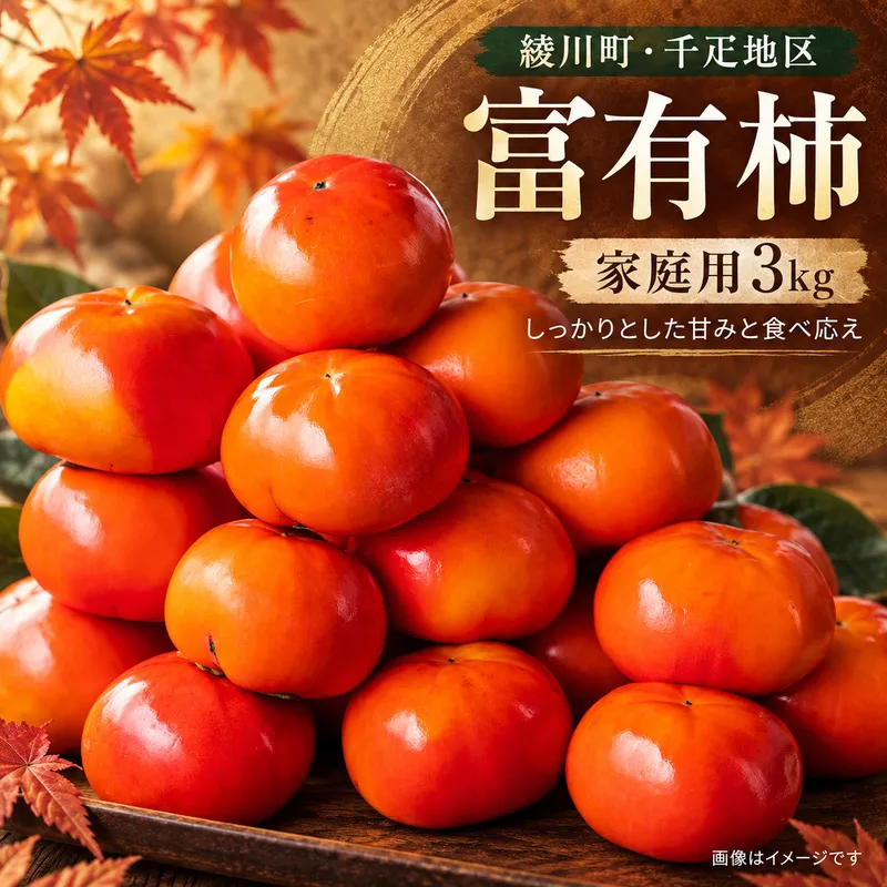 富有柿 家庭用 3kg