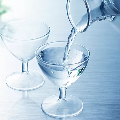 おいでまい純米酒 720ml 9本 日本酒 