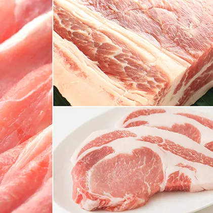 讃岐もち豚 ローススライス・テキカツ・ブロック 各1kgセット お肉 豚肉 