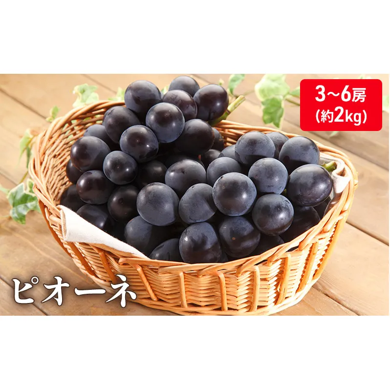 大粒で濃厚な甘み「ピオーネ」　約2kg