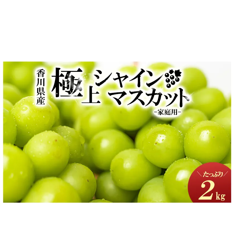 綾川町産　シャインマスカット　たっぷり約2kg 果物 ぶどう フルーツ 葡萄 種なし 