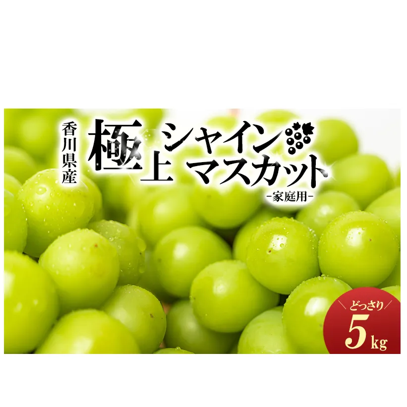 [No.5911-0093【ご家庭用】極上シャインマスカット　どっさり約5kg 果物 ぶどう フルーツ 葡萄 種なし 