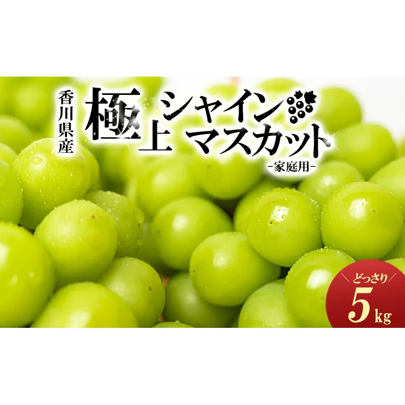 極上シャインマスカット　どっさり約5kg