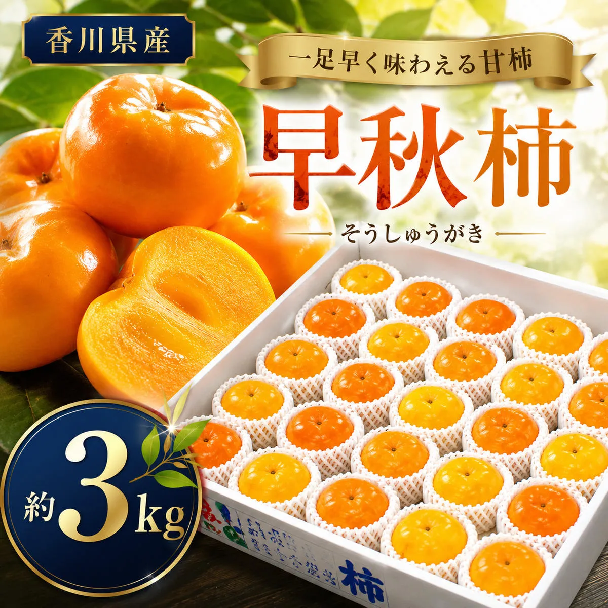 柿 早秋柿 そうしゅうがき 約3kg 香川県産 国産 甘柿 極早生品種 濃いオレンジ色 果汁が多い 糖度が高い やわらかい かき カキ 秋の味覚 果物 季節の果物 旬 先行予約 太秋柿 たいしゅうがき 梨のような食感 サクッとした食感 みずみずしい 香川県 綾川町