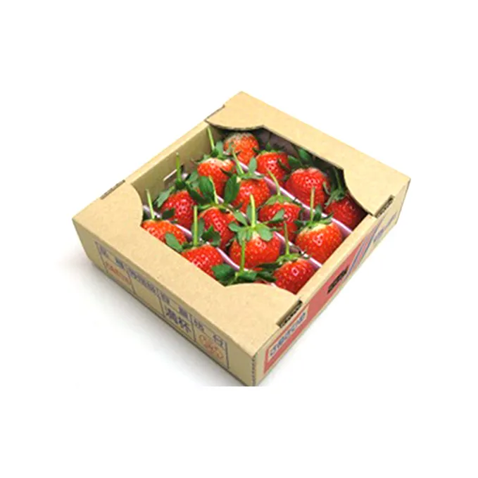 【年内発送】 さぬきひめ苺 つる付き約400g 果物類 いちご イチゴ 