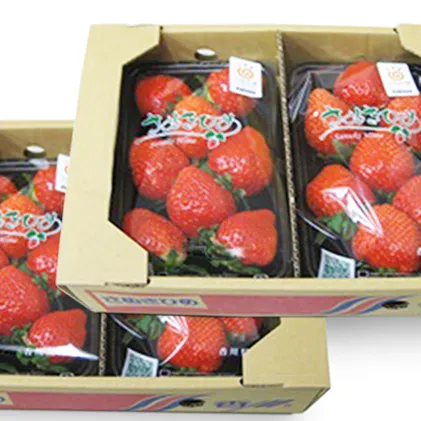  さぬきひめ苺 約1kg 果物類 いちご イチゴ 