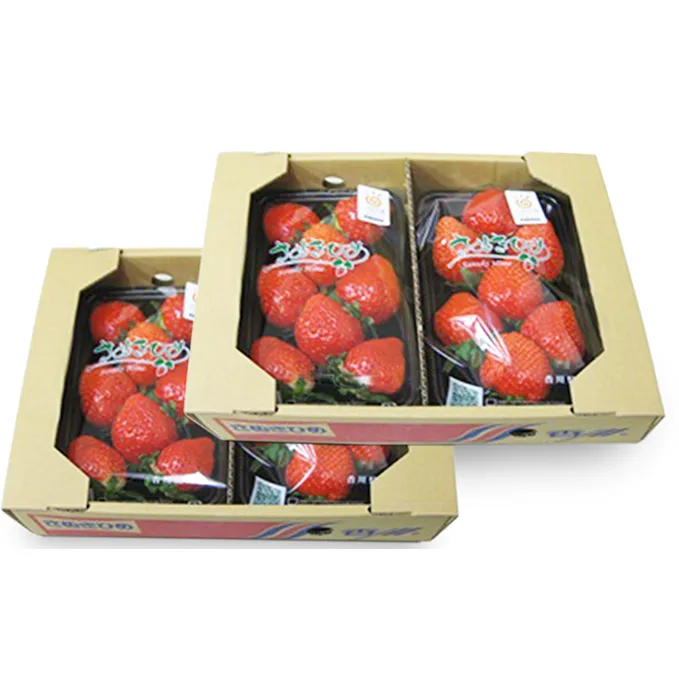  さぬきひめ苺 約1kg 果物類 いちご イチゴ 