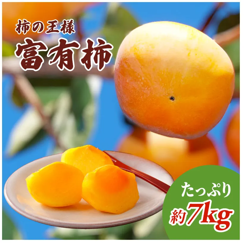 柿の王様 富有柿 たっぷり7kg 果物類 