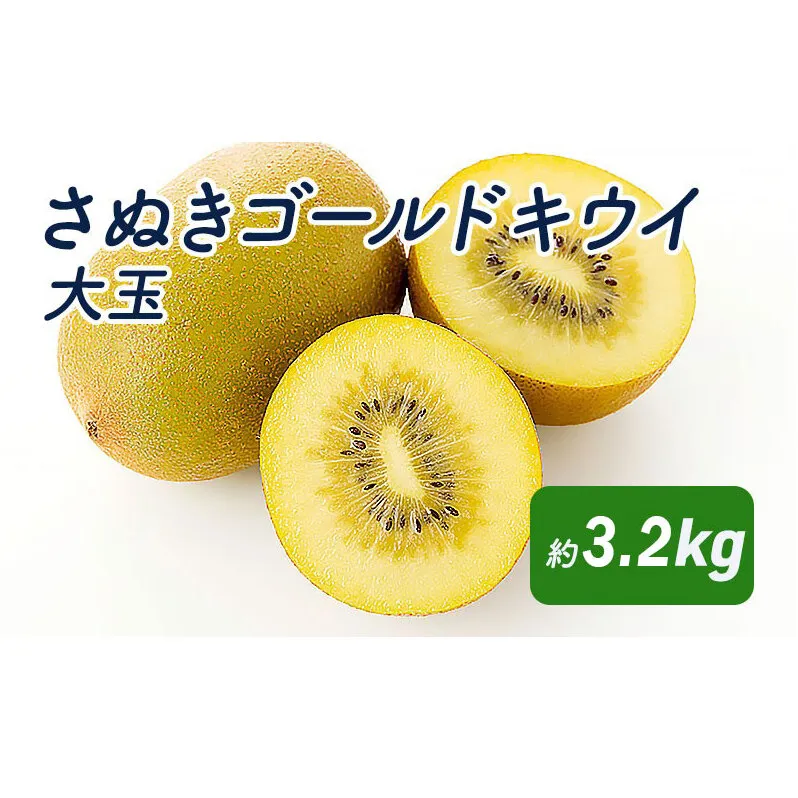 さぬきゴールドキウイ　大玉約3.2kg_キウイフルーツ 果物詰合せ くだもの